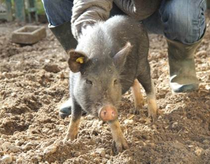 Relais Nature de Bièvres