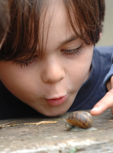 Atelier comptage des escargots © Franck Dunouau