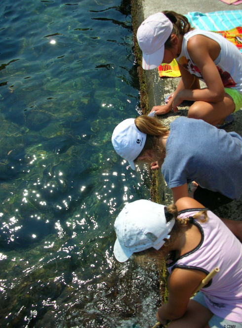 Club Nature au Centre de Découverte du Monde Marin