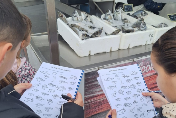 Parc Marin de la Côte Bleue - Atelier