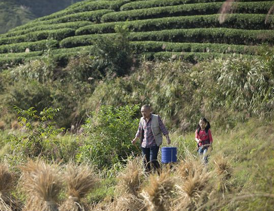 Le Promeneur d'oiseau