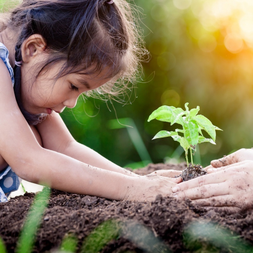 Asian little girl and parent planting young tree on black soil together as save world concept in vintage color tone