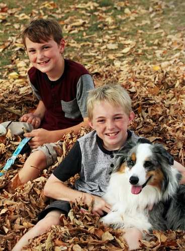 Quel animal de compagnie choisir pour ses enfants ?