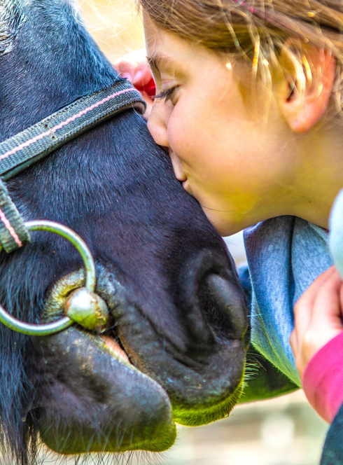 Hippodrome de Paris : enfant et cheval