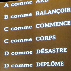 Faire du feu avec du bois mouillé - Nathalie Papin