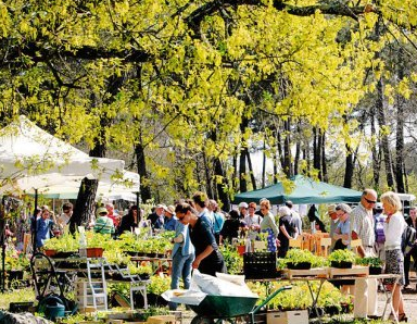 Printemps du Bourgailh 2015
