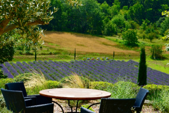 3 idées de week-end en famille dans le Sud de la France - Citizenkid