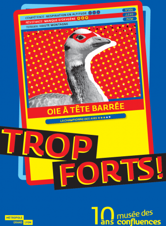 Nouvelle expo « Trop forts ! »