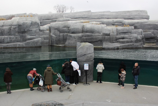 Parc zoologique de Paris @CitizenKid