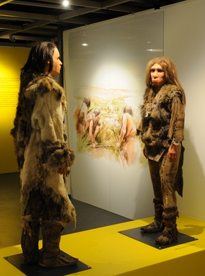 Neandertal l'europeen