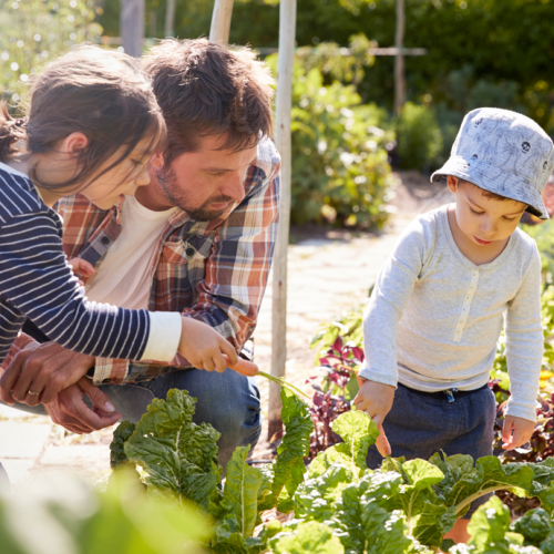 48h agriculture urbaine Rennes