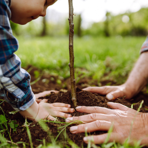 Top des sorties écolos et nature en famille à Paris