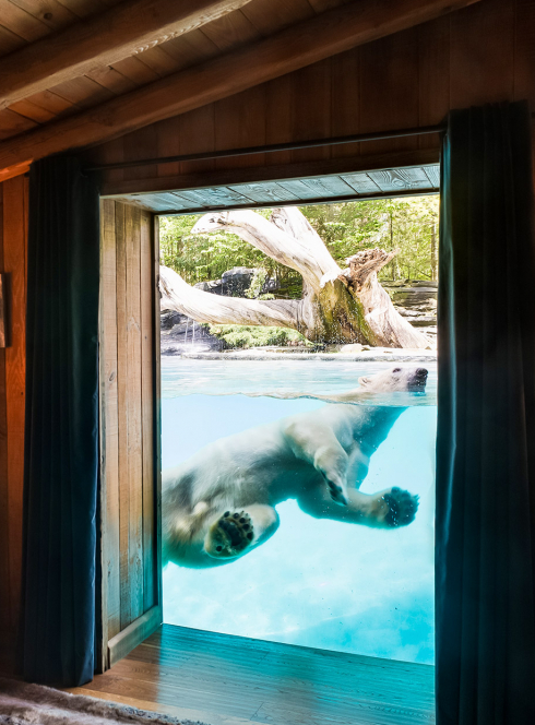 Top des hébergements insolites à tester pour les vacances : roulotte