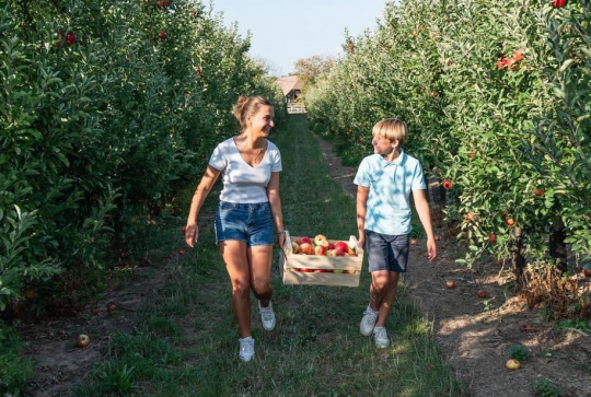 La Ferme du Paradis : Une jeune femme et un jeune garçon récoltent des pommes