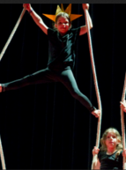 Fête du Lido : Otaries airplane