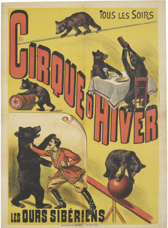 Expo Mon ours en peluche au Musée des arts décoratifs Paris - Cirque d'Hiver