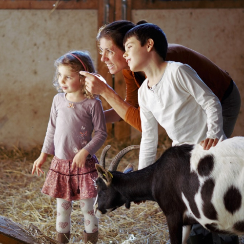 Festival Brin de culture : Famille à la ferme avec une chèvre