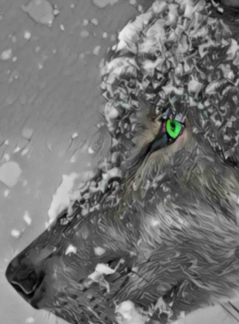 Pierre et le loup - Orchestre Symphonique de Gironde