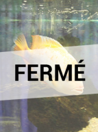 Aquarium de Valréas