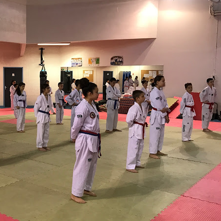 Montpellier Méditerranée Métropole Taekwondo