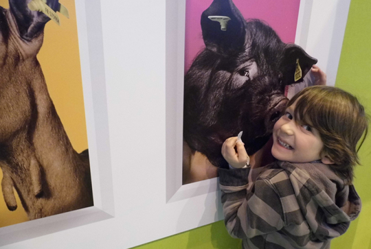 salon agriculture 2013