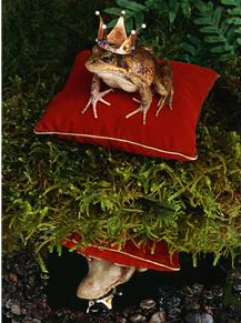 Journée mondiale du conte