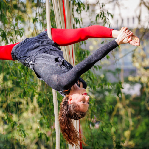 O jardins pestaculaires