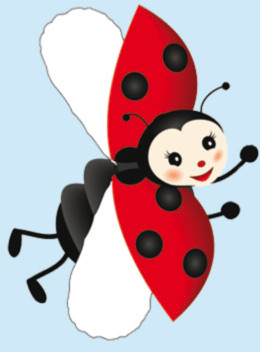 Mariquita la coccinelle