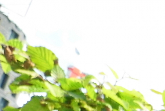 Paris CinéMômes 2013