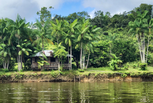 Parc amazonien de Guyane