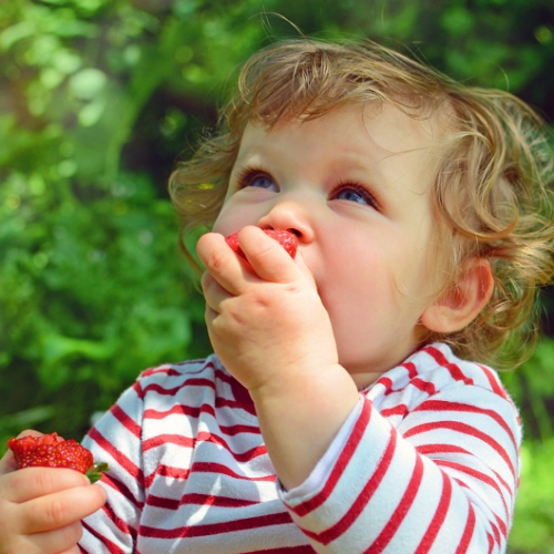 Top des cueillettes près de Lyon