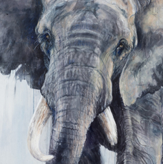 Entre terre et poussière