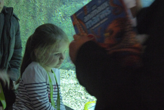 event_lesanimauxmarins_Paris_Fevrier2015_evasion