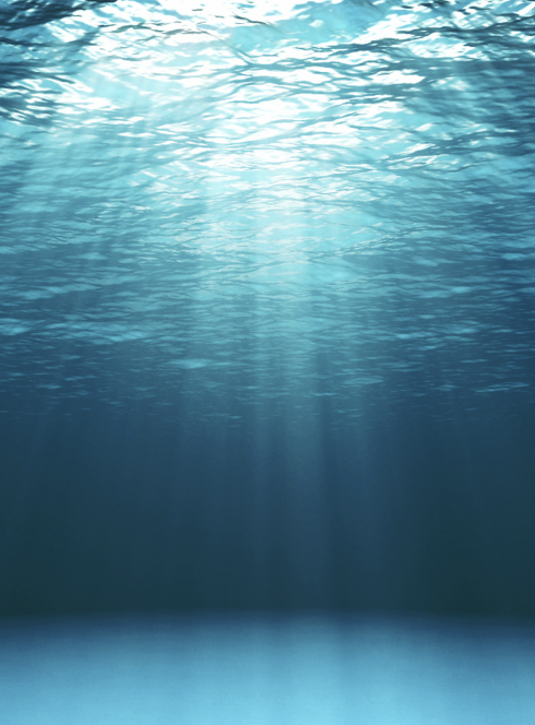 Le signal de l'océan