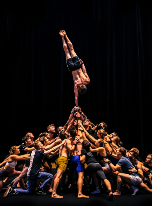 Gravity & Other Myths - The Pulse