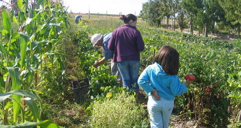 Domaine de Tout l'y faut