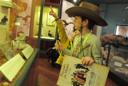 Nuit au musée au muséum de Nice : 4