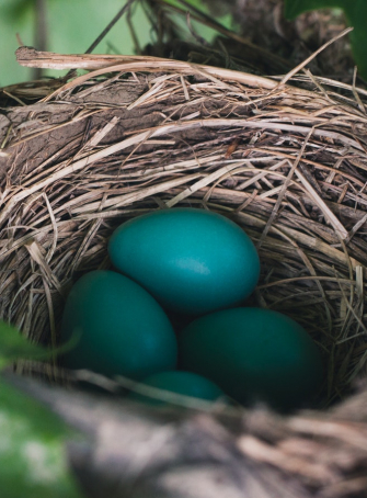 Chasse aux oeufs de Pâques 2018 au Parc de Grandmont