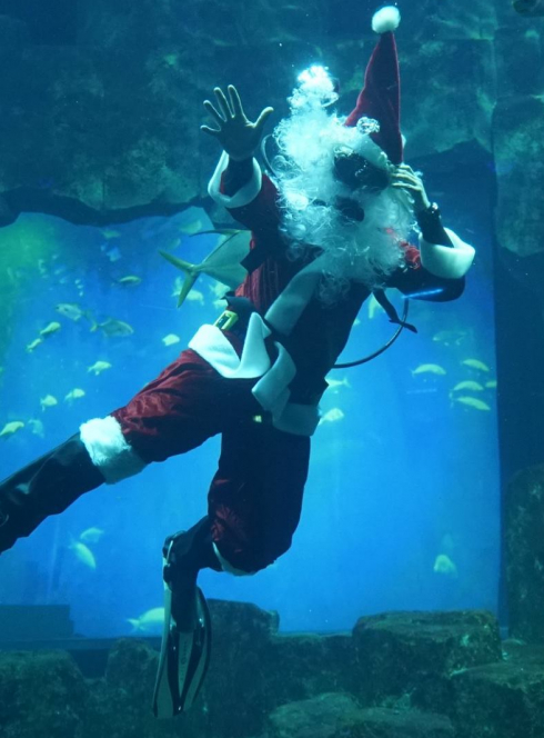 Noël 2018 à l'Aquarium de Paris : Père Noël plongeur