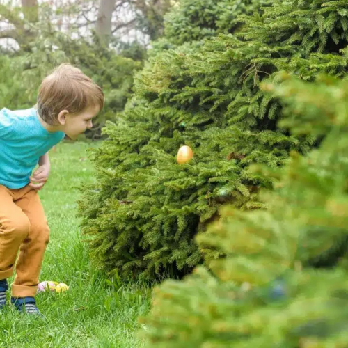 Parc des Naudières - Chasse aux oeufs de Pâques 2025