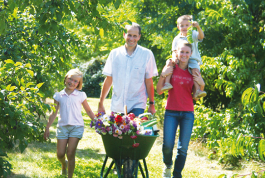 Cueillette de Paradisvogel