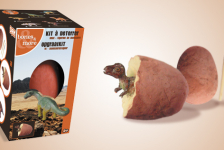 Concours oeufs dinosaures