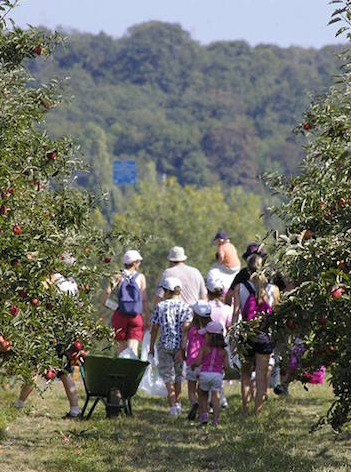 Paroles de Jardiniers - Ferme de Gally Saint-Cyr-L'école