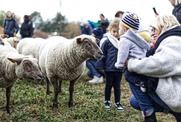 Petite transhumance du Grand Lyon - Famille
