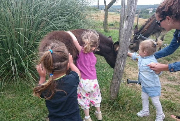 Asinerie d'Embazac - Visite en famille
