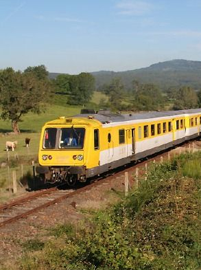 Chasse aux oeufs de Pâques