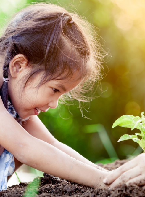 48h de l'agriculture urbaine Strasbourg