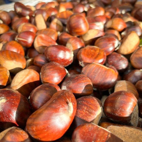 Fête de la Châtaigne Isola - Châtaignes