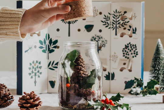 Calendrier de l'Avent Terrarium