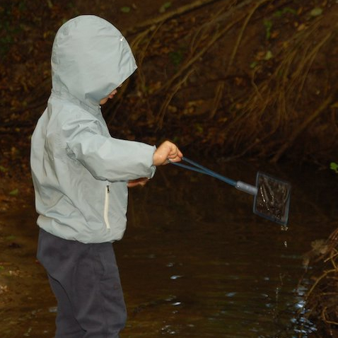 Réserve Naturelle géologique de Saucats : balade nature pour les enfants près de Bordeaux